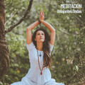 Binaural Landscapes、Asian Zen Spa Music Meditation、Brain Timbre - 350hz y murmullos