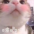 黑猫 - 9420
