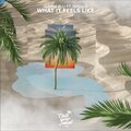 Gianni Blu、mingue、Gianni Mancini - What It Feels Like