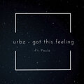 Urbz、Paula - Got This Feeling
