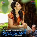 Mohan、madhubalakrishnan - Nilayil Nilavennapole