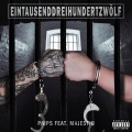 Eintausenddreihundertzwölf (feat. Majestic)(Explicit)