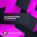 The Shadow Kings、Lee Wilson - So Beautiful (HouseMix)