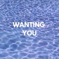 Virgo - Wanting You
