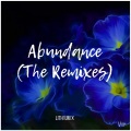 Lith1um X、Zachary Herbst、Ash Garden - Abundance (Zachary Herbst & Ash Garden Remix)