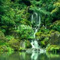Tonal Zen - Bliss of Aura