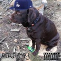 Bino - The Posse 2 (feat. yunglookas Svarda College KANYESONLYFANS Random Ahh Music IDEKTBH ASAPBlonded StupidityHipHop Monke Mediadealer Jake Boundless Macca Bino Speaks Kehinde & Young Sprite)(Explicit)