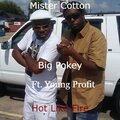 Mister Cotton、Big Pokey Bear、Yung Profit. - Hot Like Fire (feat. Big Pokey Bear & Yung Profit.)(Explicit)
