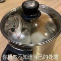 腿腿张 - 于心有愧