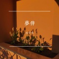 杨雪婧 - 梦伴