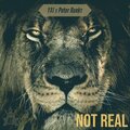 Not Real (feat. Peter Runks)