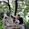 干洲清龙 - 生命要继续