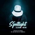 Cedis、Neno - Spotlight