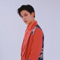 杨宇华 - 难念的经