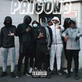 Paigons (Explicit)