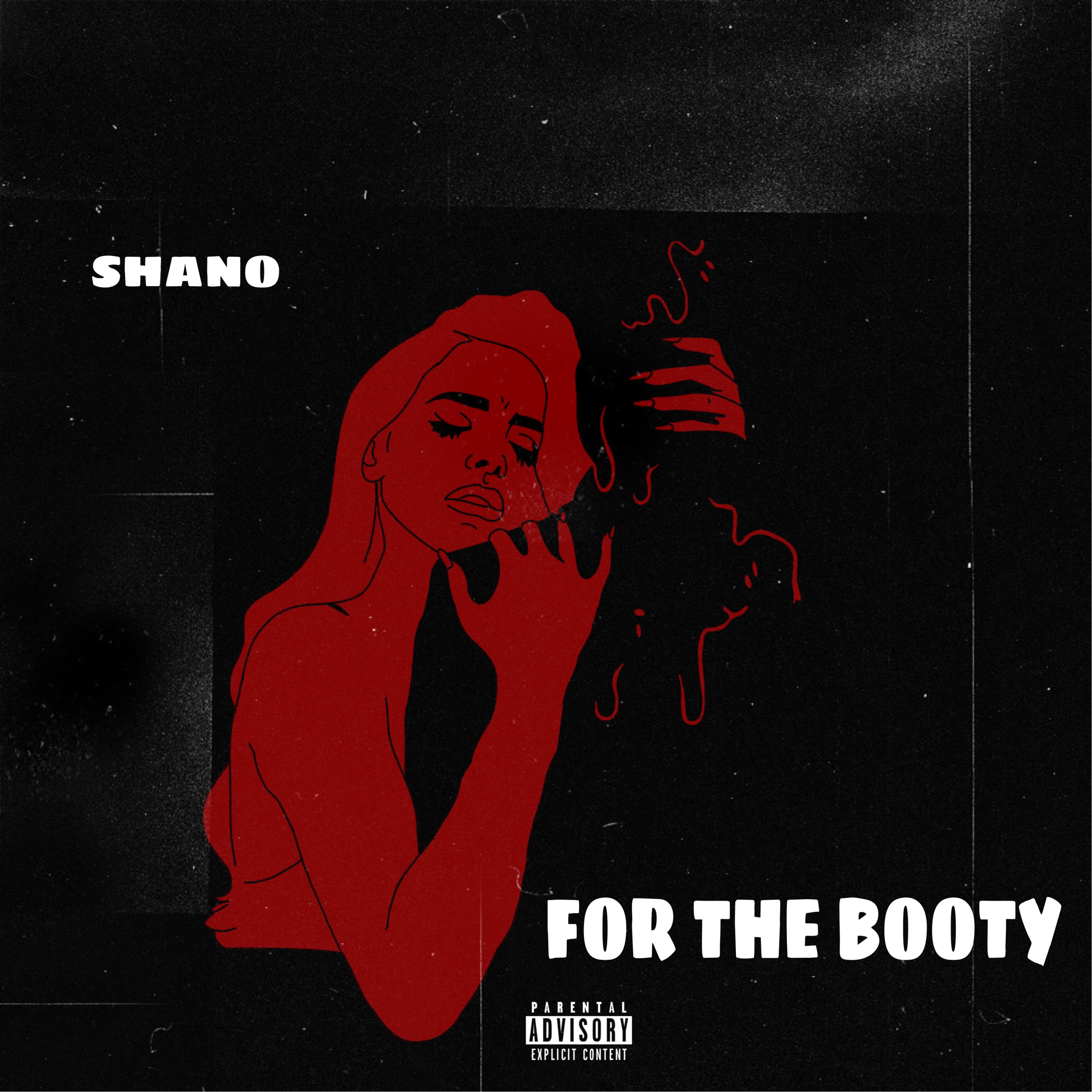 ShaneBlamesYou、Single - For The Booty (Explicit)
