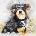 Dog Music Therapy、Dog Music Dreams、Relaxmydog - Daydream