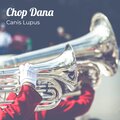 Canis Lupus - Aud 20210501 Wa0007
