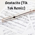 Dj Viral TikToker - Despacito Remix