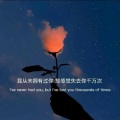 海绵宝宝 - 豆花之歌