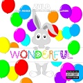 Wonderful (Explicit)