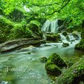 Tonal Zen - Peaceful Nature