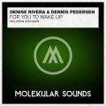 Denise Rivera、Dennis Pedersen - For You To Wake Up