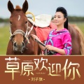 刘子旗 - 草原欢迎你