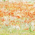 어반 뉴에이지 - Passing Summer