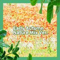 어반 뉴에이지 - Early Autumn (Nature Mix Ver.)