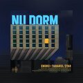 Tânărul $tar、Endru - Nu dorm (Explicit)