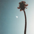 Bluestaeb - Guanaco