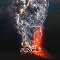 Sky、JXMMY - Jungle (feat. Sky)(Explicit)