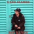 Gato Siames (Explicit)