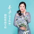 秦嘉 - 走在冷雨中