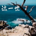 王雨尘 - 这一世