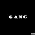 NESTRE、Lolomixa、Mister Amir、ArCen、Og Listanks - Gang! (Explicit)