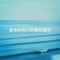 infinity - Invitation to Dream