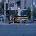 蓝宫调