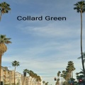 Collard Green、Baby Jay - Thuggish Ways (feat. Baby Jay)