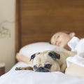 Relaxing Spa Music、Sounds of Nature White Noise for Mindfulness Meditation and Relaxation、Spa Relaxation - Lucky Voyage