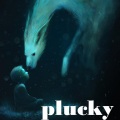 Artisan - Plucky