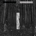 Chris Liebing、Ladan、Ralf Hildenbeutel - Whispers and Wires (Edit)