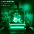 Gar Brian - Mystery (Remix)