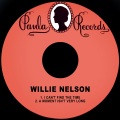 Willie Nelson - A Moment Isn't Very Long