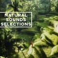 Nature Sounds For Relaxation