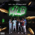 2338 B.O.M、BRAZY、LMF E、Yola - M.L.B (red light green light)(feat. Brazy lmf e & Yola)(Explicit)