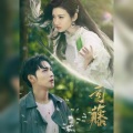 青鸾 - 千万勇敢