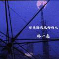 林一尧 - 你是陪我风雨的人