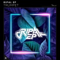 Ripal EP - More That